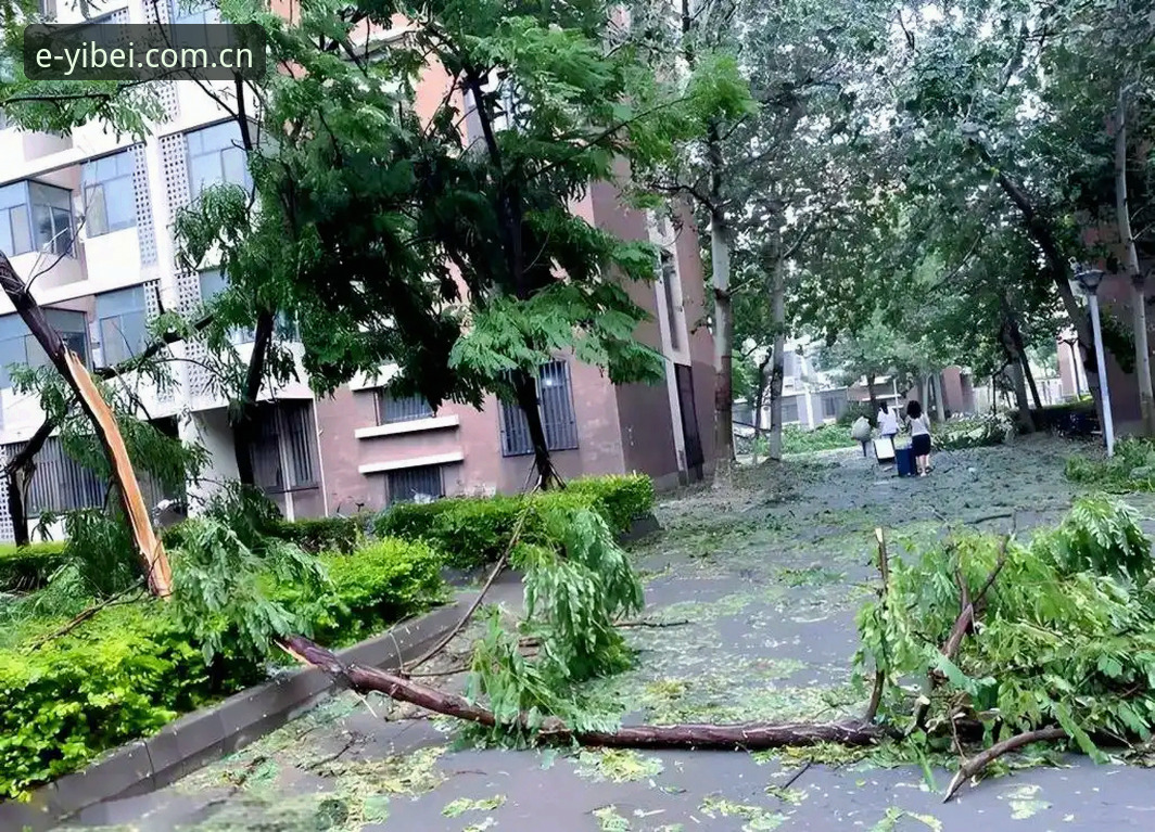 130公里/小时的狂风预警下，西班牙队坚持了20分钟训练——这是一个值得所有体育数据平台用户记住的数字。我作为技术评测员，在易倍体育棋牌评测对比中见过不少极端天气数据，但足球训练被迫中断还是头一回遇到这么具体的案例。